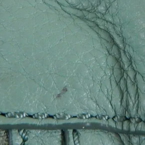 Fossil Erin Crossbody Leather Purse Blue - Picture 6 of 11